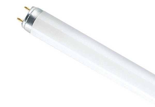 led cev sl